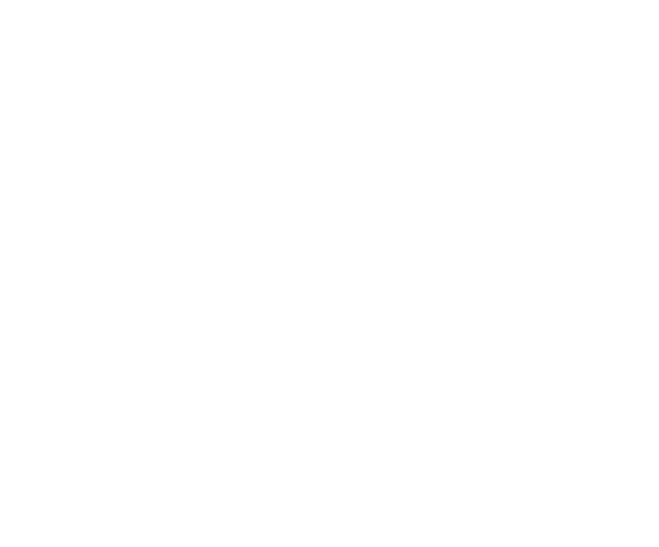 w-hotels-logo
